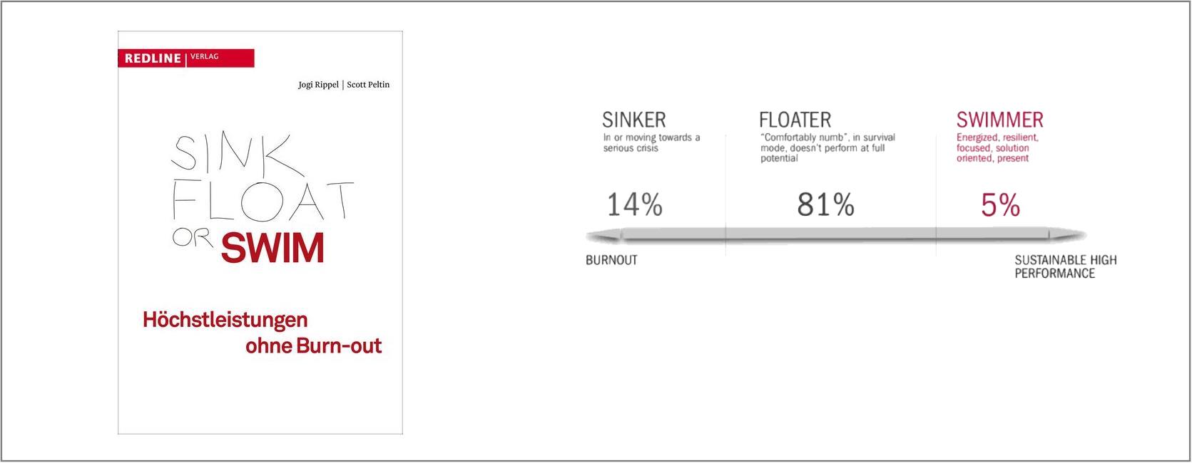 Für Sie gelesen Sink, Float or Swim Matthias Hanitsch